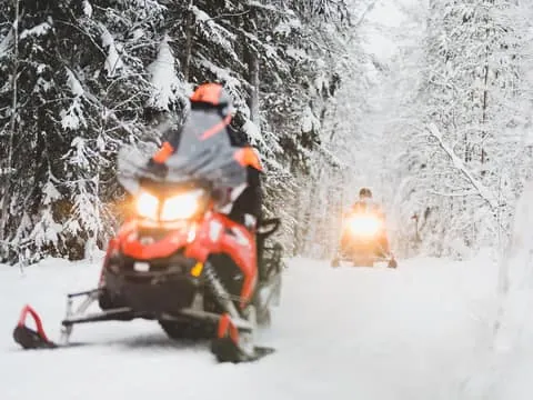 Half-Day Snowmobile Safari with Lunch