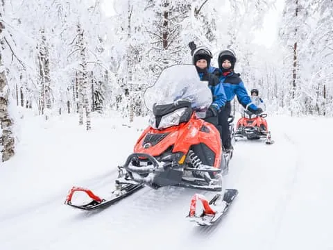 Easy Snowmobile Safari