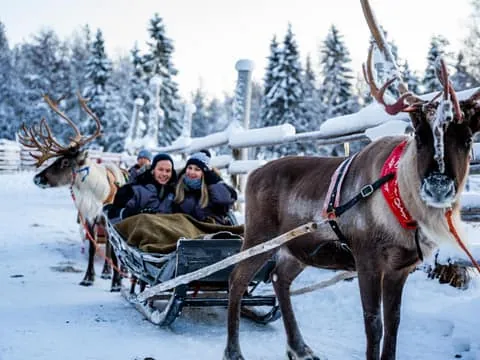 Local Reindeer Farm Visit with Sleigh Ride