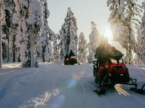 Levi: 3-Hour Snowmobile Safari Around Levi with Coffee Break