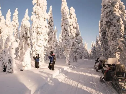 Levi: 4-Hour Snowmobile Safari to the Fells in Levi