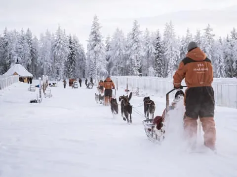 Nulkki Husky Adventure
