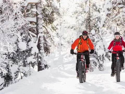 Pyhätunturi: Electric Fatbike Tour in Finnish Lapland