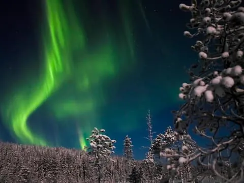 Ylläs: Seeking Northern Lights Photo Tour