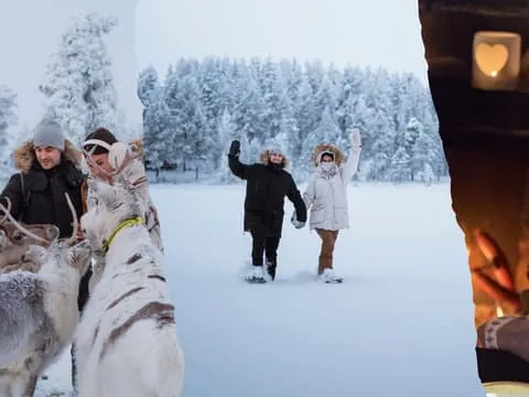 Arctic Reindeer Farm Experience with Snowshoeing in the Wild