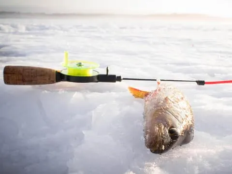 Snowmobile Safari with Ice Fishing Experience
