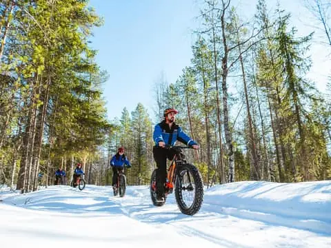 Winter eFatbike Tour in Snowy Forest
