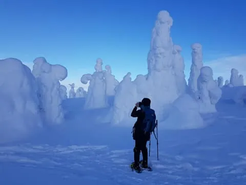Riisitunturi National Park Private Snowshoe Adventure