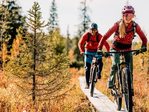 Levi: Reindeer Trails E-Fatbike Adventure