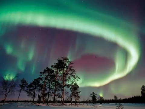 Northern Lights Hunting with Aurora Workshop