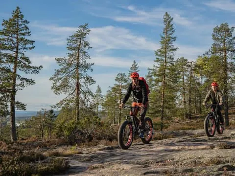 Electric Fatbike Tour