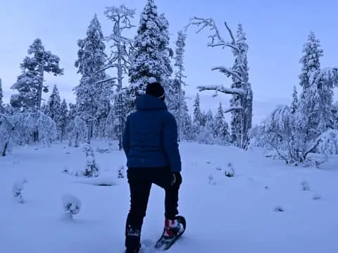 Snowshoeing Tour in Urho Kekkonen National Park