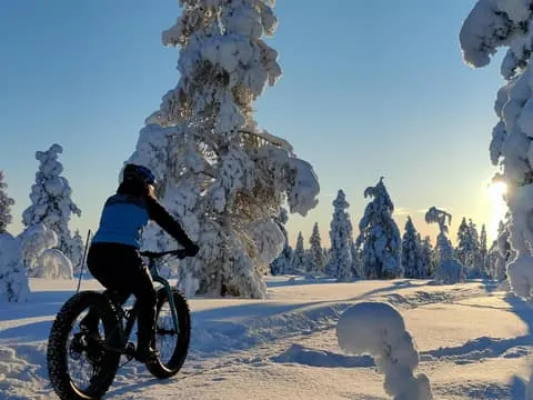 Guided Fatbike Tour