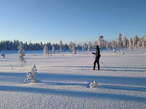 Back-Country Skiing Guided Tour