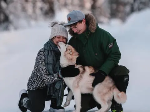 Levi: Self-Drive 2 KM Husky Sledding Experience