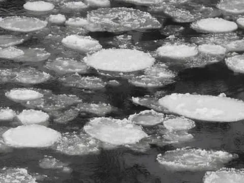 Private Winter Walk in Oulanka National Park with Snowshoes