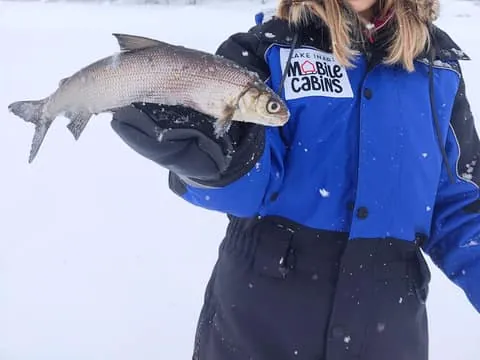 2-hour Ice Fishing at Lake Inari