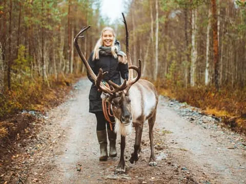 Walk with Reindeer