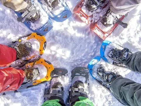 Snowshoeing Tour with Wild Lunch and Hotel Pickup