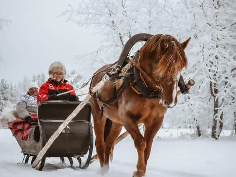 Traditional Finnhorse Sleigh Ride at SCV (30 mins)