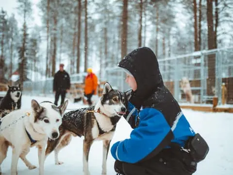 Early Winter Husky Sled Ride 3km, self-driven