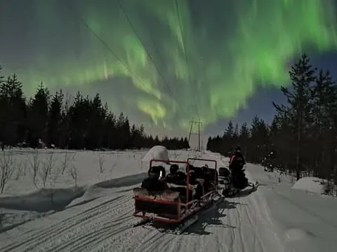 Levi: Northern Lights Sledge Ride