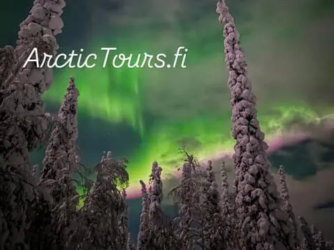 Saariselkä, Kakslauttanen: Aurora Hunting & Photography Tour.