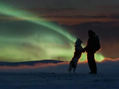 Husky Safari with Aurora Borealis Hunt 5km