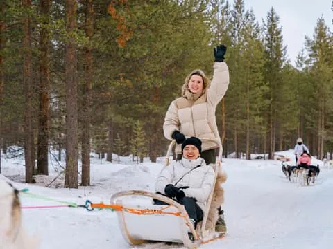 10KM Husky Safari with kennel visit