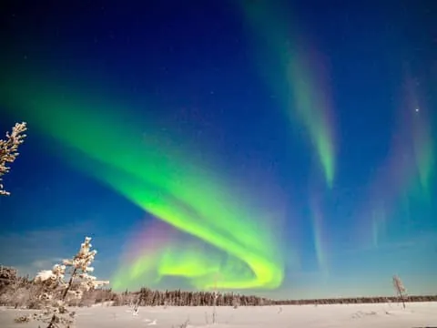 Levi: Private Northern Lights Hunt in a 4x4 SUV