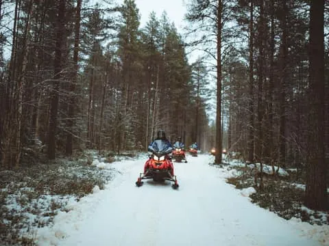 Early Winter Snowmobile Safari 2 Hours