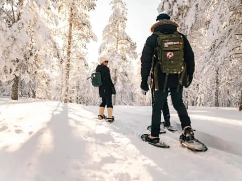 Snowshoeing in the Arctic Wilderness