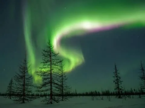 Northern Lights Hunters. Aurora + BBQ