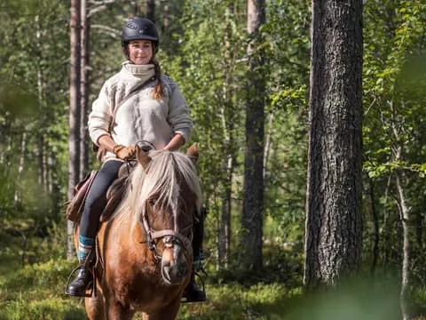 Levi: Evening Horseback Ride with Northern Lights