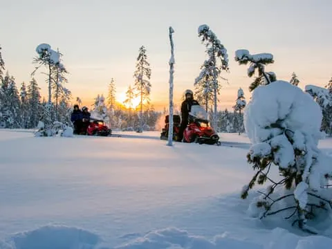 Snowmobile Safari to a Reindeer Farm