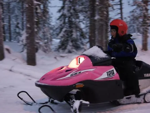 Family Snowmobile Safari