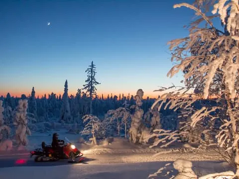 Snowmobile Safari & Campfire Evening Escape
