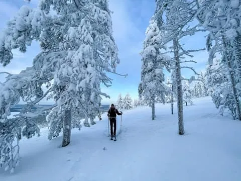 Pyhätunturi: Private Wilderness Skiing Tour With Local Guide