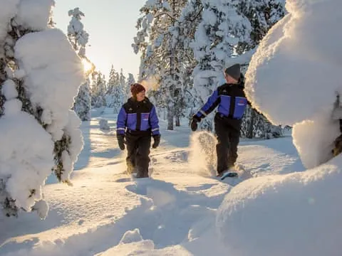 Ylläs: Forest Hike with Snowshoes