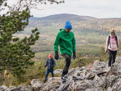 Levi: Peaceful Forest Hike on Päiviö Trail