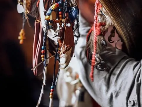 Levi: Fell Summit Tour & Samiland Cultural Visit