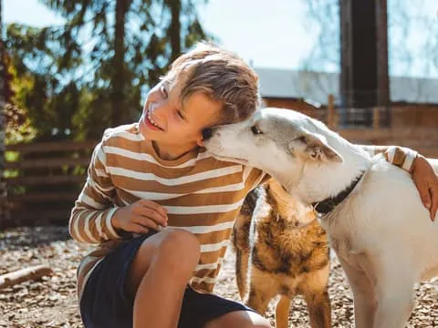 Husky Farm Visit