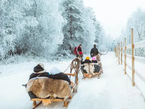 Early Winter Reindeer Sleigh Ride 1-2 km