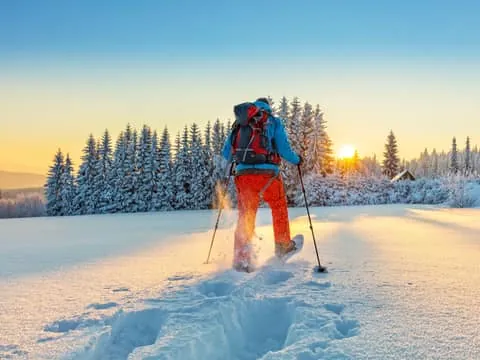 Levi: Gentle Snowshoe Walk in Winter Wilderness