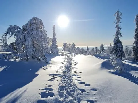 Levi Lapland: Snowshoe Adventure to Fell Kätkä