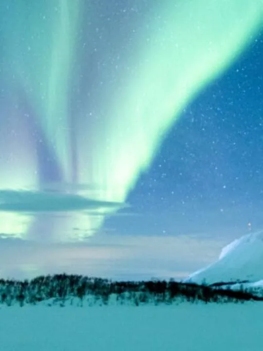 Northern Lights Snowmobile Tour with Photos