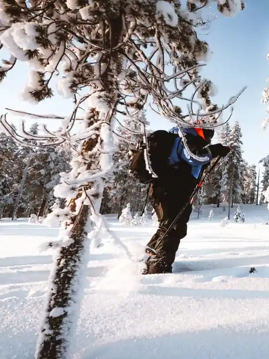 Lapland Ski Trekking Safari