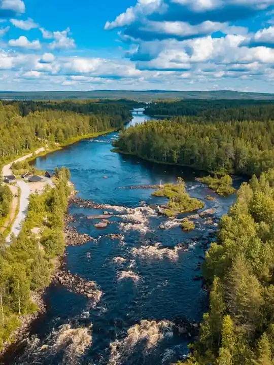 Vikaköngäs Forest Hiking Tour with BBQ