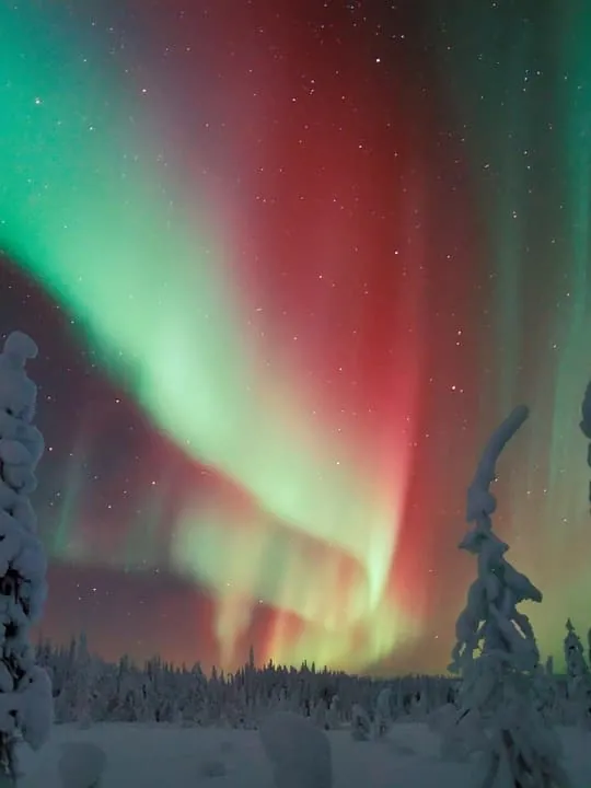 Polar Night Snowshoe Trek
