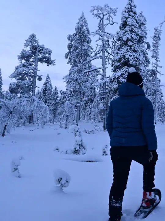 Snowshoeing Tour in Urho Kekkonen National Park